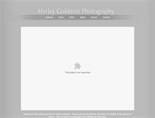 Tablet Screenshot of harleygoldman.com